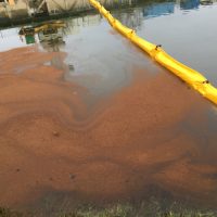 biotourbe1sac-1 Biotourbe sur l'eau
