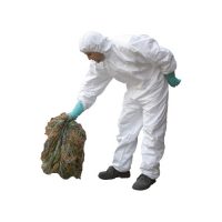 Poumpoum, fibres absorbantes